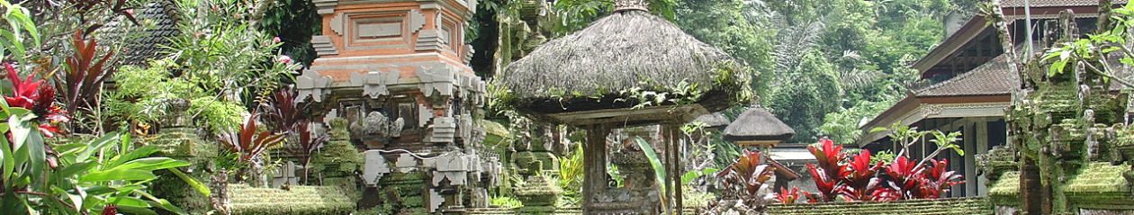 Bali gids, chauffeur rondreizen Made Catra